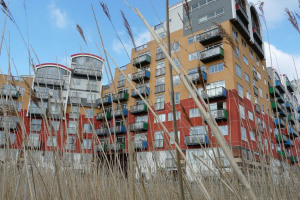 view of colourful apartment building through long grass.jpg - Greenwich Outdoor Classroom